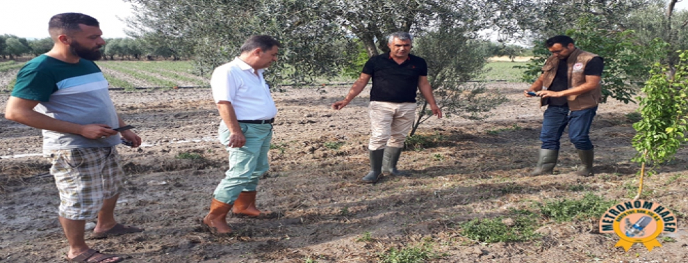 Kuvvetli Sağanak Ve Dolu Yağışı Tarım Ürünlerine Zarar Verdi Kuvvetli Sağanak Ve Dolu Yağışı Tarım Ürünlerine Zarar Verdi