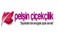 Pelşin çiçekçilik