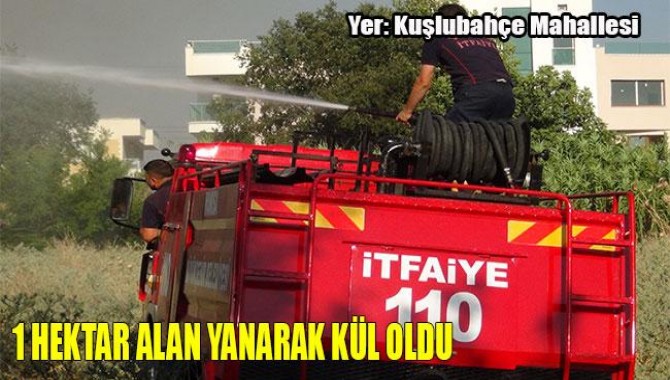 1 Hektar Alan Yanarak Kül Oldu