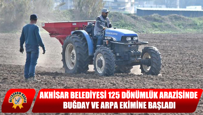 Akhisar Belediyesi 125 Dönümlük Arazisinde Buğday Ve Arpa Ekimine Başladı