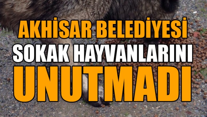 Akhisar Belediyesi Sokak Hayvanlarını Unutmadı