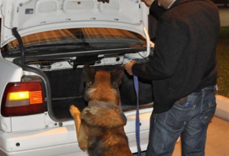 Akhisar’da Huzur Operasyonu Polis Her Yeri Didik Didik Aradı!