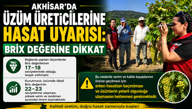 Akhisar’da Üzüm Üreticilerine Hasat Uyarısı: Brix Değerine Dikkat