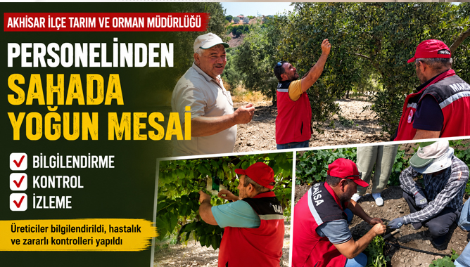 Akhisar İlçe Tarım ve Orman Müdürlüğü Personelinden Sahada Yoğun Mesai
