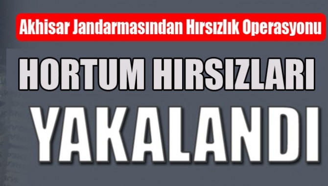 Akhisar Jandarmasından Hırsızlık Operasyonu