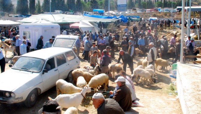 Akhisar'da Kurban Hareketliliği Başladı