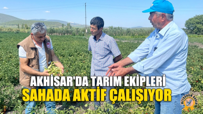 Akhisarda Tarım Ekipleri Sahada Aktif Çalışıyor