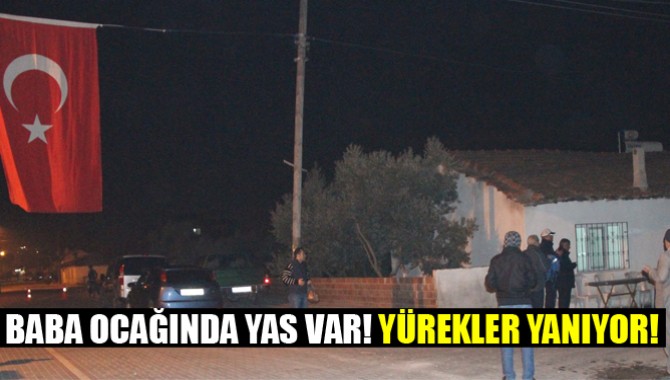Baba Ocağında Yas Var! Yürekler Yanıyor!