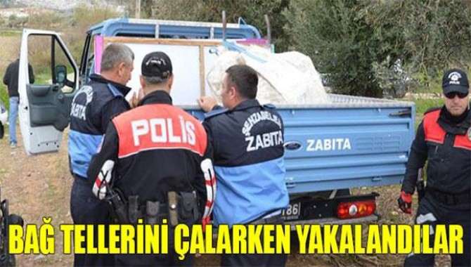 Bağ Tellerini Çalarken Yakalandılar