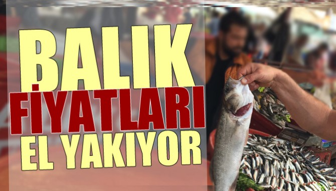 Balık Fiyatları El Yakıyor