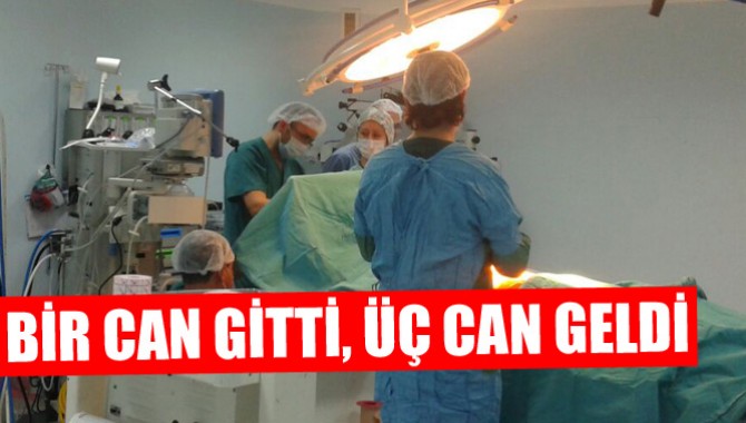 Bir Can Gitti, Üç Can Geldi