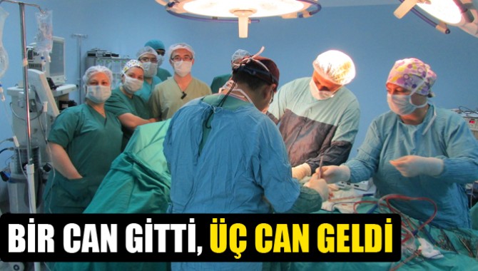 Bir Can Gitti, Üç Can Geldi