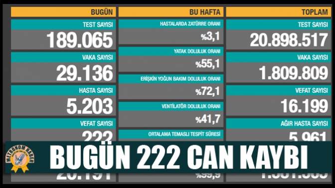 Bugün 222 Can Kaybı