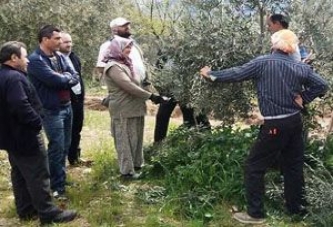 Çiftçi Bilgilendirme Toplantıları Hız Kesmeden Devam Ediyor