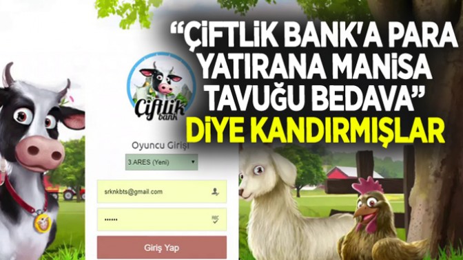 “Çiftlik Banka Para Yatırana Manisa Tavuğu Bedava” diye kandırmışlar!