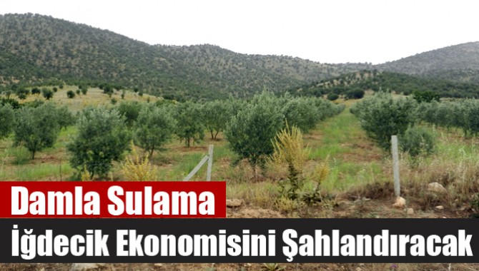 Damla Sulama İğdecik Ekonomisini Şahlandıracak