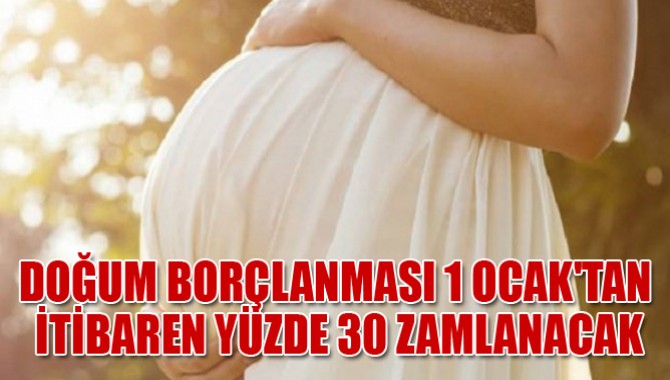 Doğum Borçlanması 1 Ocak'tan İtibaren Yüzde 30 Zamlanacak