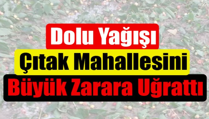 Dolu Yağışı Çıtak Mahallesini Büyük Zarara Uğrattı