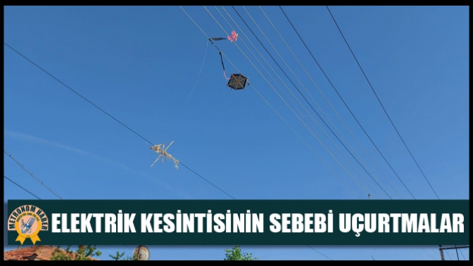 Elektrik Kesintisinin Sebebi Uçurtmalar