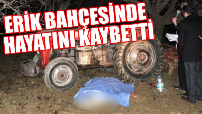 ERİK BAHÇESİNDE HAYATINI KAYBETTİ