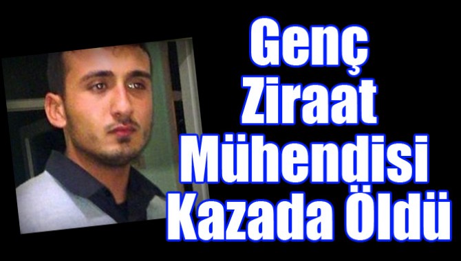 Genç Ziraat Mühendisi Kazada Öldü