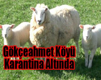 Gökçeahmet Köyü Karantina Altında