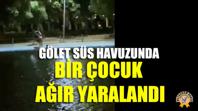 Gölet Süs Havuzunda Bir Çocuk Ağır Yaralandı
