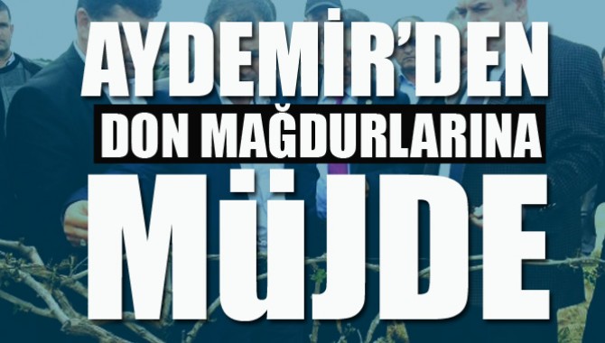 Gölmarmara’daki Don Mağdurlarına Müjde