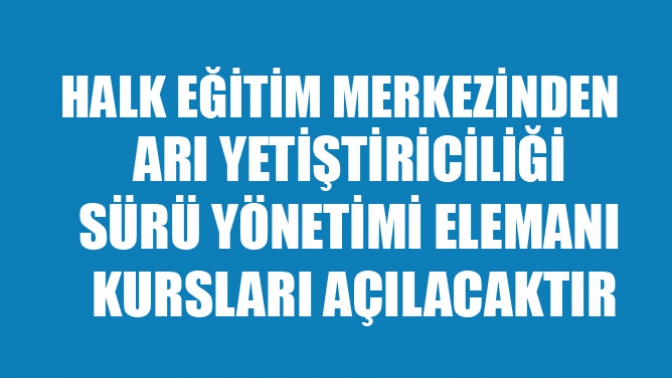 Halk Eğitim Merkezi Arı Yetiştiriciliği-Sürü Yönetimi Elemanı Kursları Açılacaktır