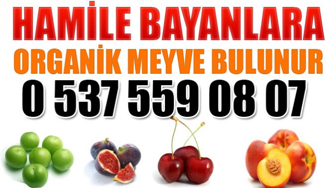 Hamile Bayanlara Organik Meyve Bulunur