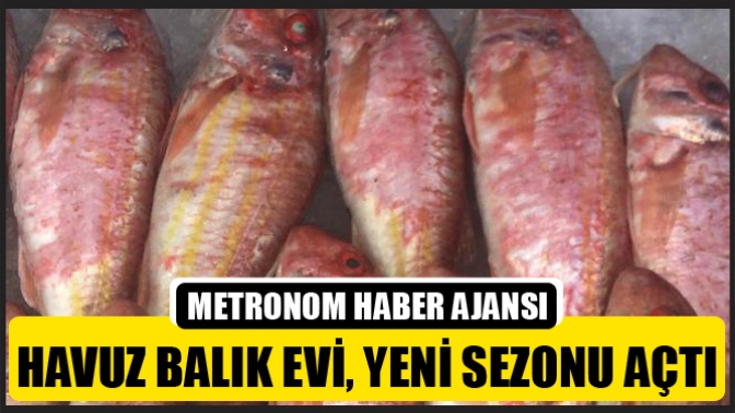 Havuz Balık evi, yeni sezonu açtı