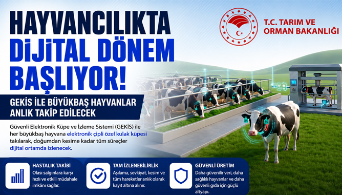 Hayvancılıkta Dijital Dönem Başlıyor: Gekis İle Büyükbaş Hayvanlar Anlık Takip Edilecek