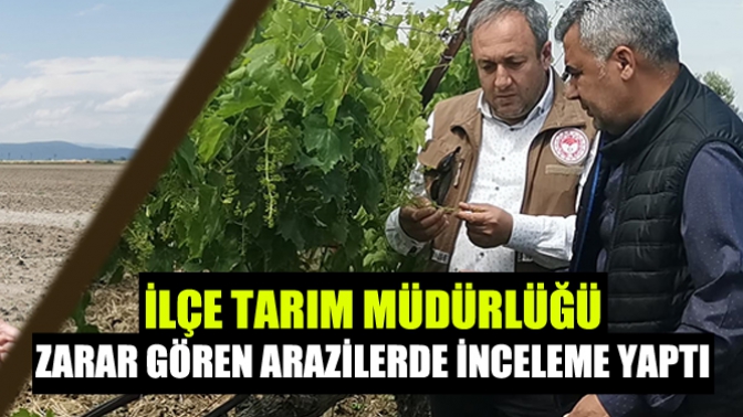 İlçe Tarım Müdürlüğü, zarar gören arazilerde inceleme yaptı