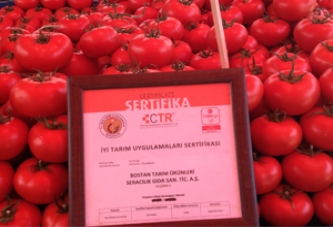 İyi Tarım Uygulaması Akhisar Pazarında