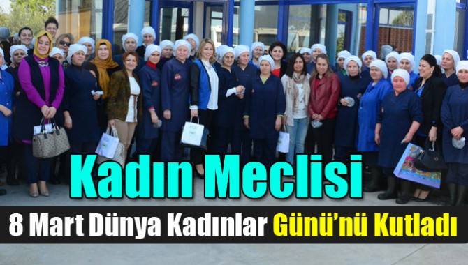 Kadın Meclisi 8 Mart Dünya Kadınlar Günü’nü Kutladı