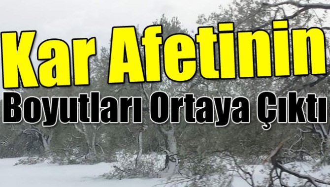 Kar Afetinin Boyutları Ortaya Çıktı
