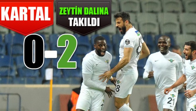 Kartal Zeytin Dalına Takıldı