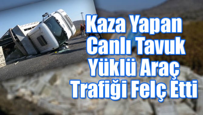 Kaza Yapan Canlı Tavuk Yüklü Araç Trafiği Felç Etti