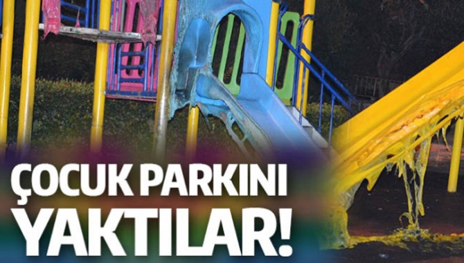 KENDİ PARKLARINI YAKTILAR!