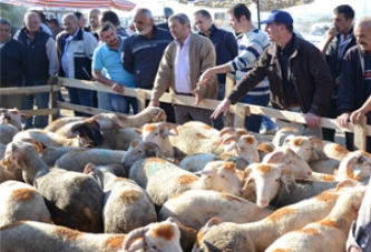 Kurban Bayramı Öncesi Arefe Bereketi