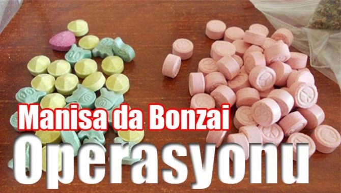 MANİSA’DA BONZAİ OPERASYONU