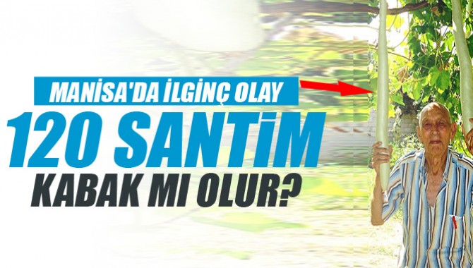 Manisa'da 120 Santimlik Kabaklar Görenleri Şaşırttı