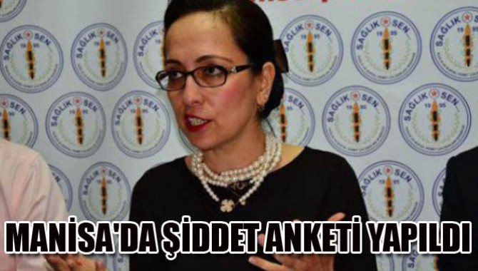 MANİSA'DA ŞİDDET ANKETİ YAPILDI