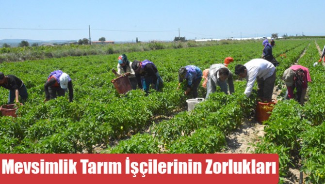 Mevsimlik Tarım İşçilerinin Zorlukları