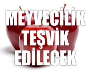 Meyvecilik Teşvik Edilecek !