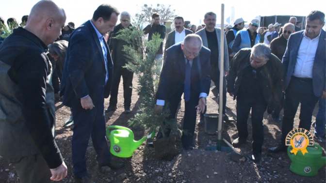 Milli Ağaçlandırma Gününde Fidanlar Toprakla Buluştu