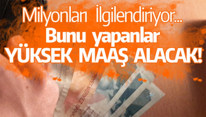 Milyonları İlgilendiriyor... Bunu yapanlar yüksek maaş alacak!