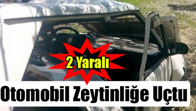 Otomobil Zeytinliğe Uçtu: 2 Yaralı