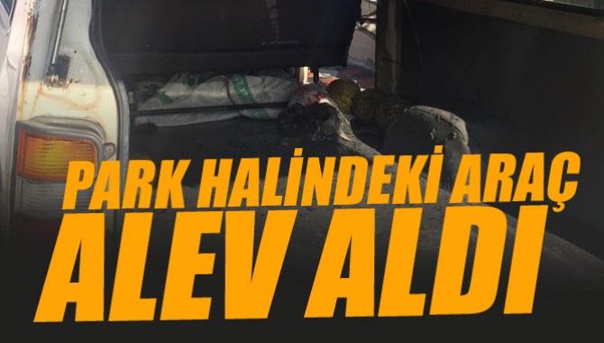 Park Halindeki Araç Alev Aldı