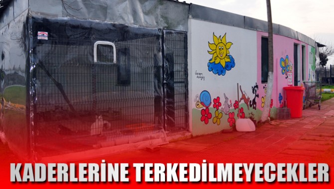 “Sokak hayvanlarını kaderlerine terk etmeyeceğiz”